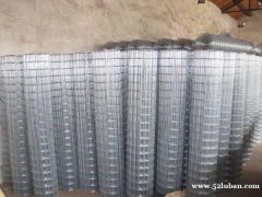 大量批发价供应圈玉米网电焊网小孔电焊网