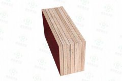 深圳建筑模板,进口木方,厂家批发价格