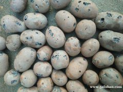 广西陶粒厂家,科兴专业生产轻质粘土陶粒