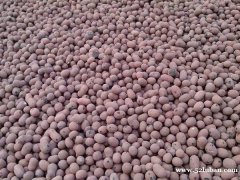 广西陶粒厂家大量生产销售轻质建筑陶粒