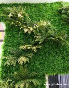 高品质人造植物墙 户外绿色植物 垂直花园设计