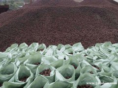 珠海陶粒厂建筑回填陶粒