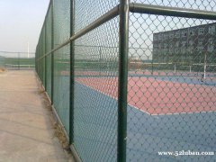 本昌草绿色篮球场围场 包塑焊接铁丝护栏网