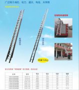 厂家供应重庆消防梯 单伸缩梯子直梯加厚