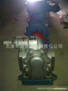 天津齿轮泵2CY树脂齿轮泵沥青齿轮泵