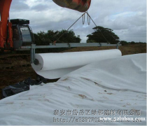 泰安绿都建材专业生产土工布