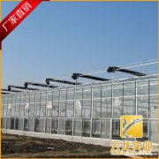 山东临沂厂家直销双层阳光板单层耐力板透明采光瓦