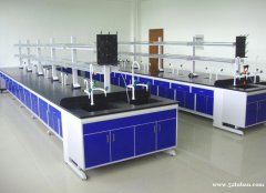 供应各地学校实验室的实验台洁净钢木台