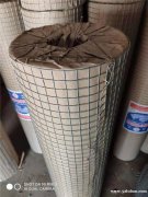 墙体保温电焊网、抹墙钢丝网、防裂网、建筑钢丝网现货