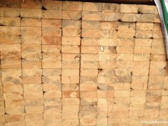 供应工地建筑木方 南京木材 加松成批出售零售