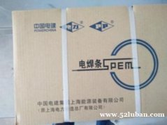 上海电力牌PP-A202（奥202）不锈钢焊条