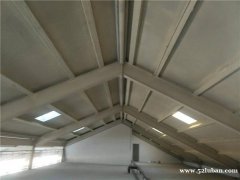 供应临沂地区天基板、轻强板、兼强板、钢骨架屋面板、网架板