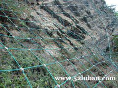 供应各类型结实耐用边坡防护网