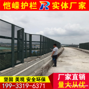 供应圈地防护围网 公路双边丝护栏网 桥梁防抛网 可定制