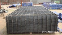 浸塑铁丝电焊网 养殖围栏网  PVC涂塑电焊网