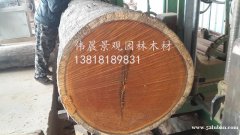 印尼菠萝格园林景观木材建材订尺加工