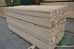 木材欧洲木板材欧洲枫桦白桦木板材