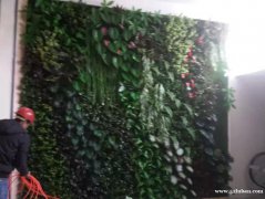 模仿植物墙  背景墙 绿植墙